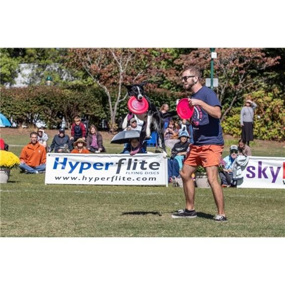 Flying Puncture-Resistant Spot Competition Dog Disc, Mango, 8.75-Inch, All Breed - Picture 4 of 7